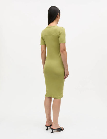 Green Olive